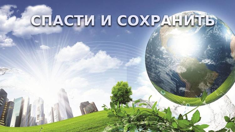 Постер Спасти и сохранить