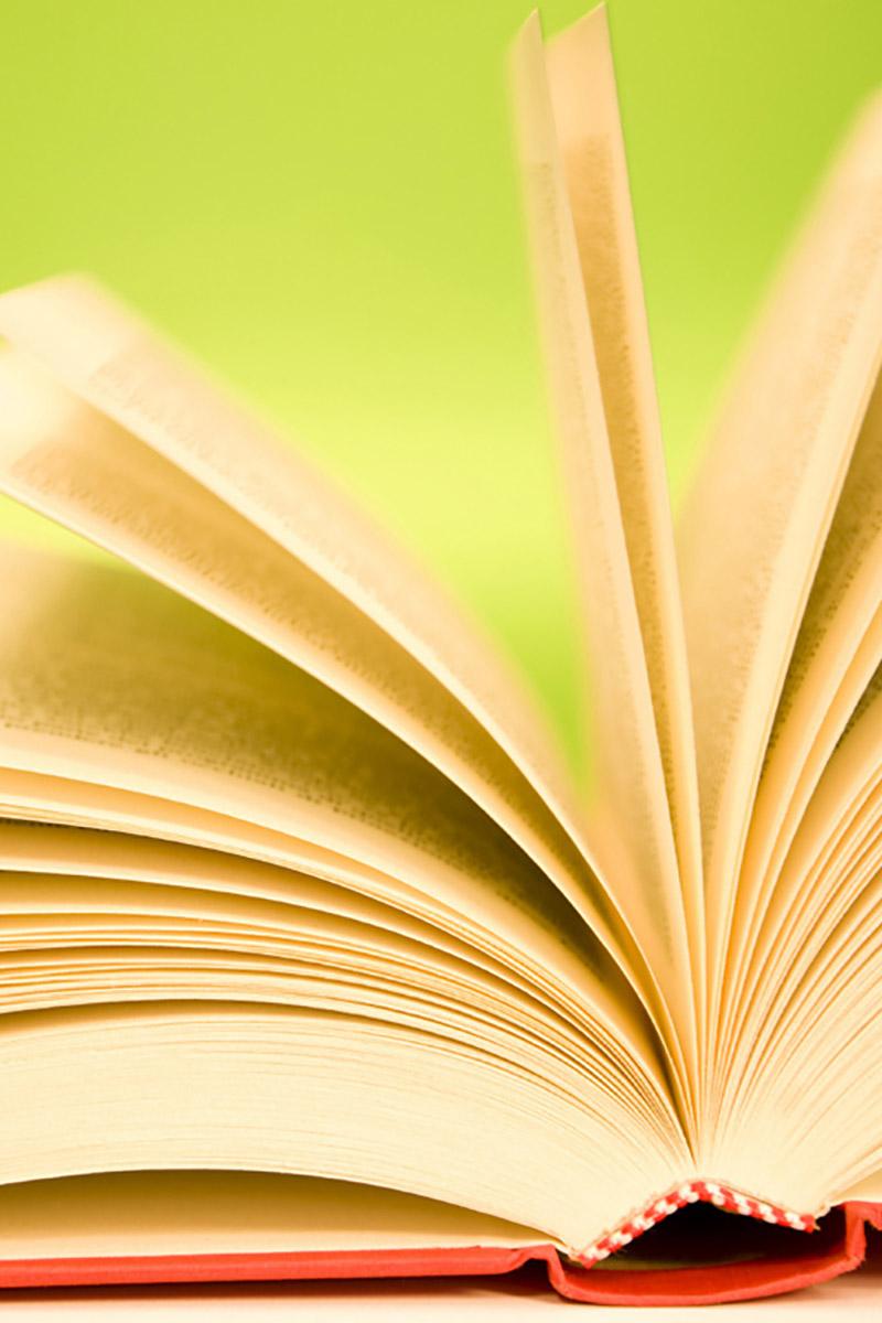 Волшебная книга, или Праздник с домовым (volshebnaja-kniga-ili-prazdnik-s-domovym) Спектакль