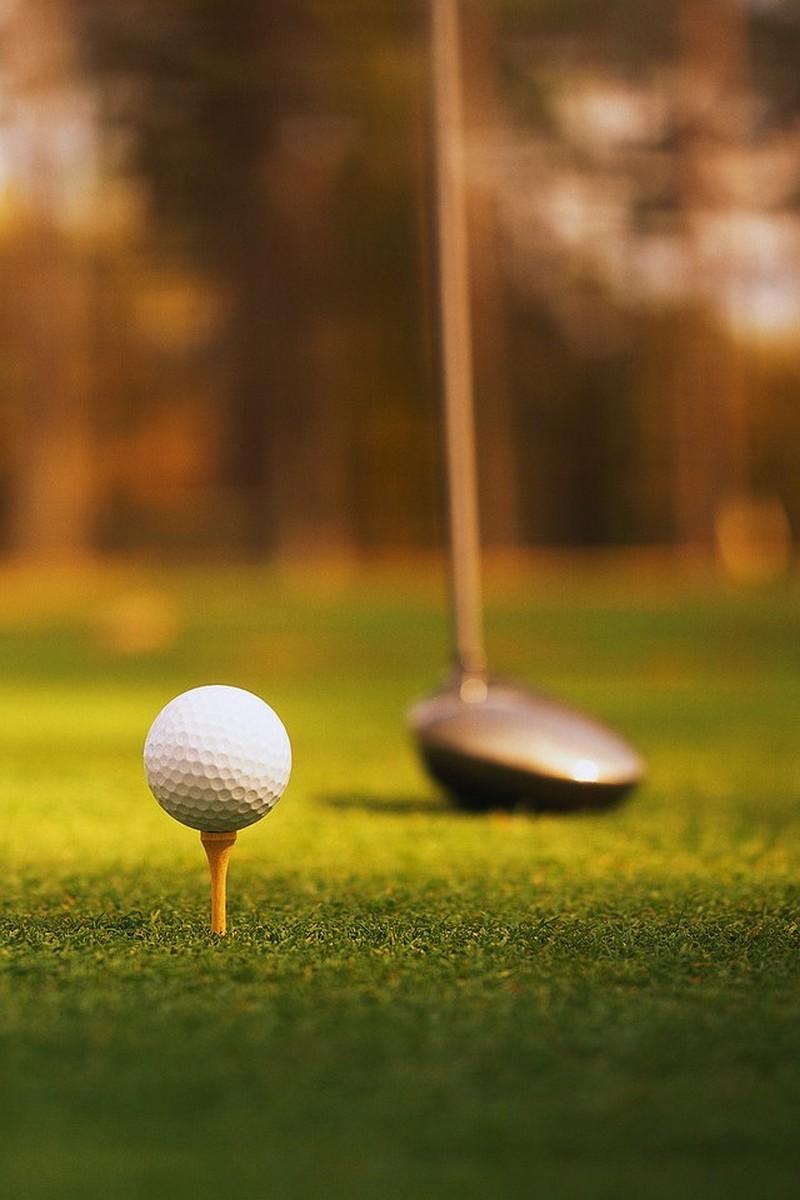 Гольф. Обучающая программа (golf-obuchajuschaja-programma) Досуг, хобби