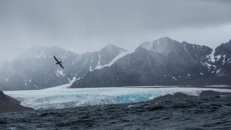 Постер 24 Hours Of Climate Reality