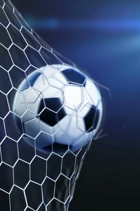 Футбольный год. Сборная (futbolnyj-god-sbornaja) Познавательное