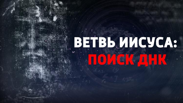 Постер Ветвь Иисуса: поиск ДНК