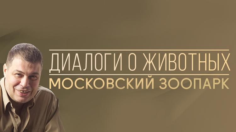 Постер Диалоги о животных. Московский зоопарк