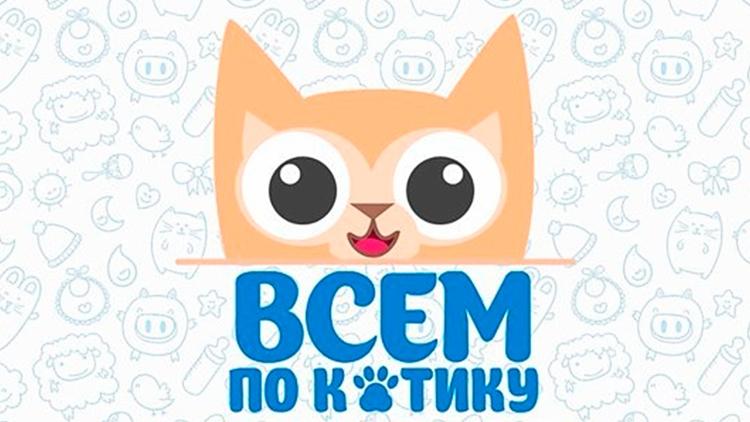 Постер Всем по котику