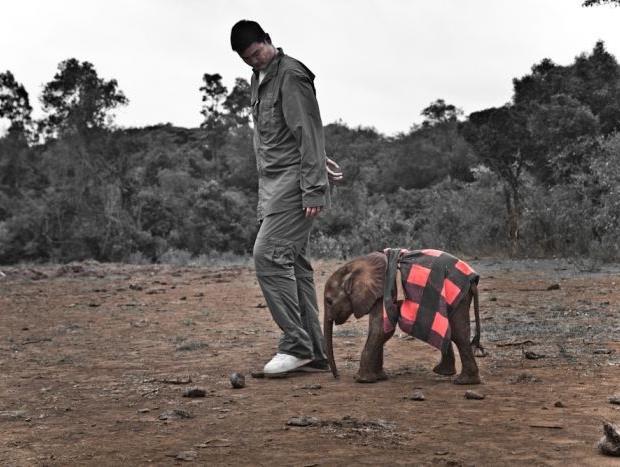 Спасение слонов с Яо Мином (spasenie-slonov-s-jao-minom) Документальный фильм