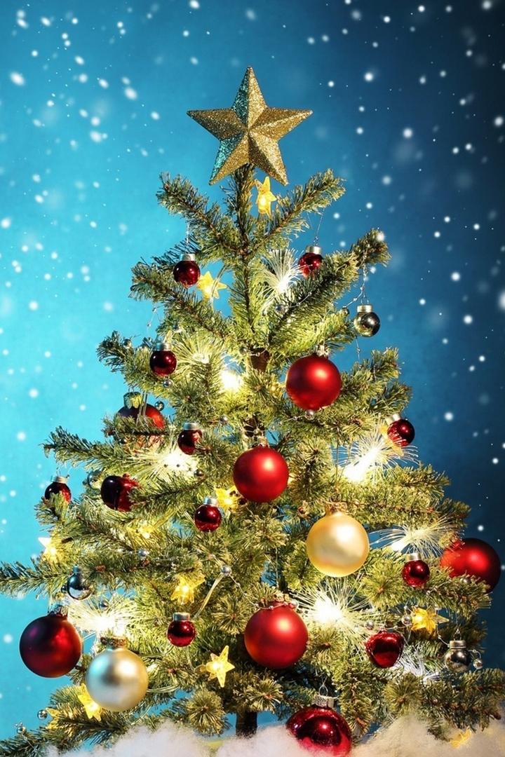 Новый год на Афонтово (novyj-god-na-afontovo) ТВ-шоу