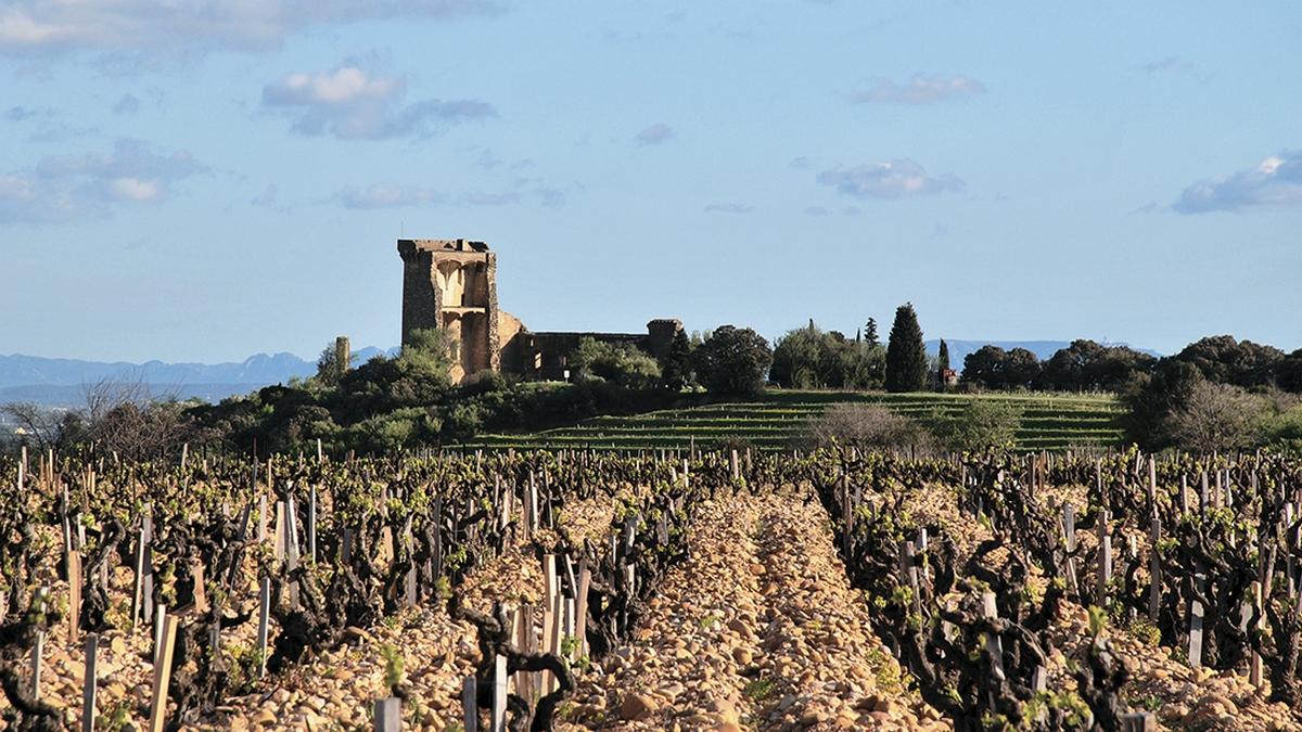 Шатонеф-Дю-Пап, история одного успеха (shatonef-dju-pap-istorija-odnogo-uspeha) Документальный фильм