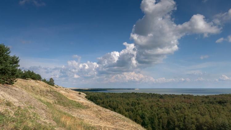 Постер Wildes Baltikum