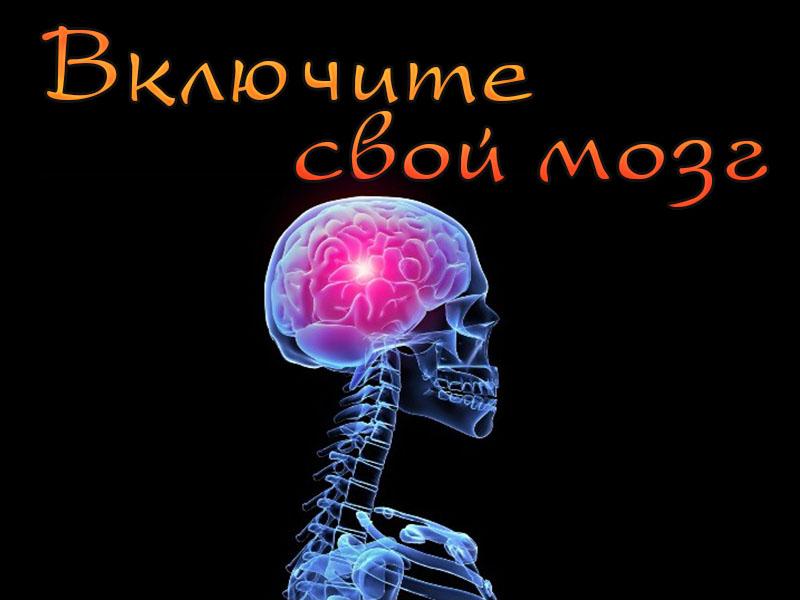 Включите свой мозг (vkljuchite-svoj-mozg) Досуг, хобби