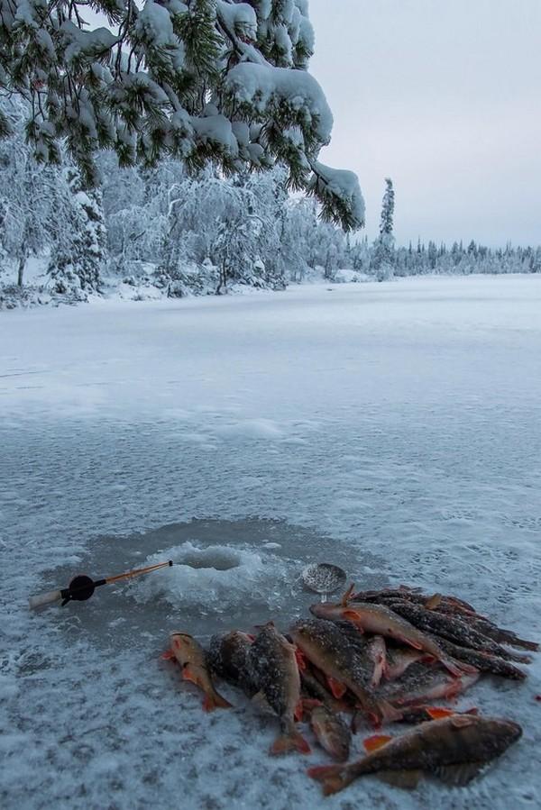 Зимняя рыбалка с Никитой Дюпиным (zimnjaja-rybalka-s-nikitoj-djupinym) Досуг, хобби