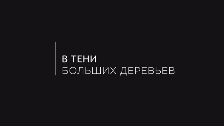 Постер В тени больших деревьев