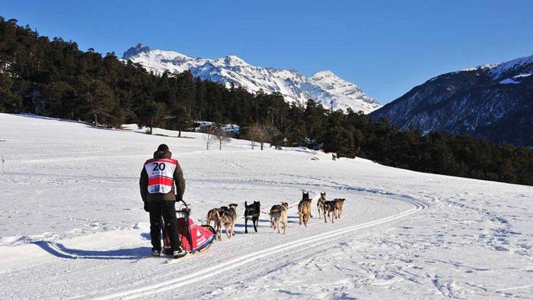 Постер La grande odyssée Savoie Mont Blanc : l'aventure grandeur nature