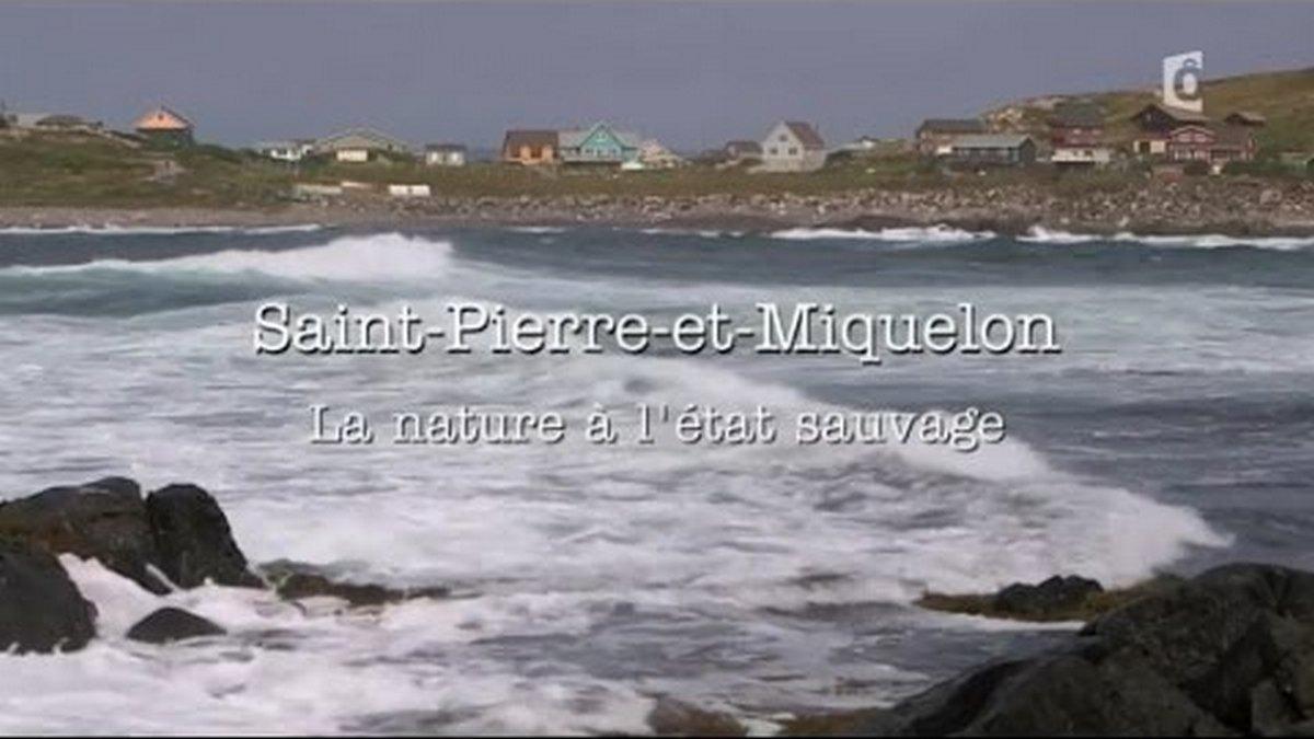 Сен-Пьер и Микелон. Природа в диком состоянии (sen-per-i-mikelon-priroda-v-dikom-sostojanii) Документальный фильм