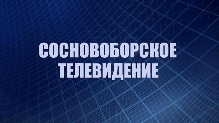 Постер Сосновоборское телевидение