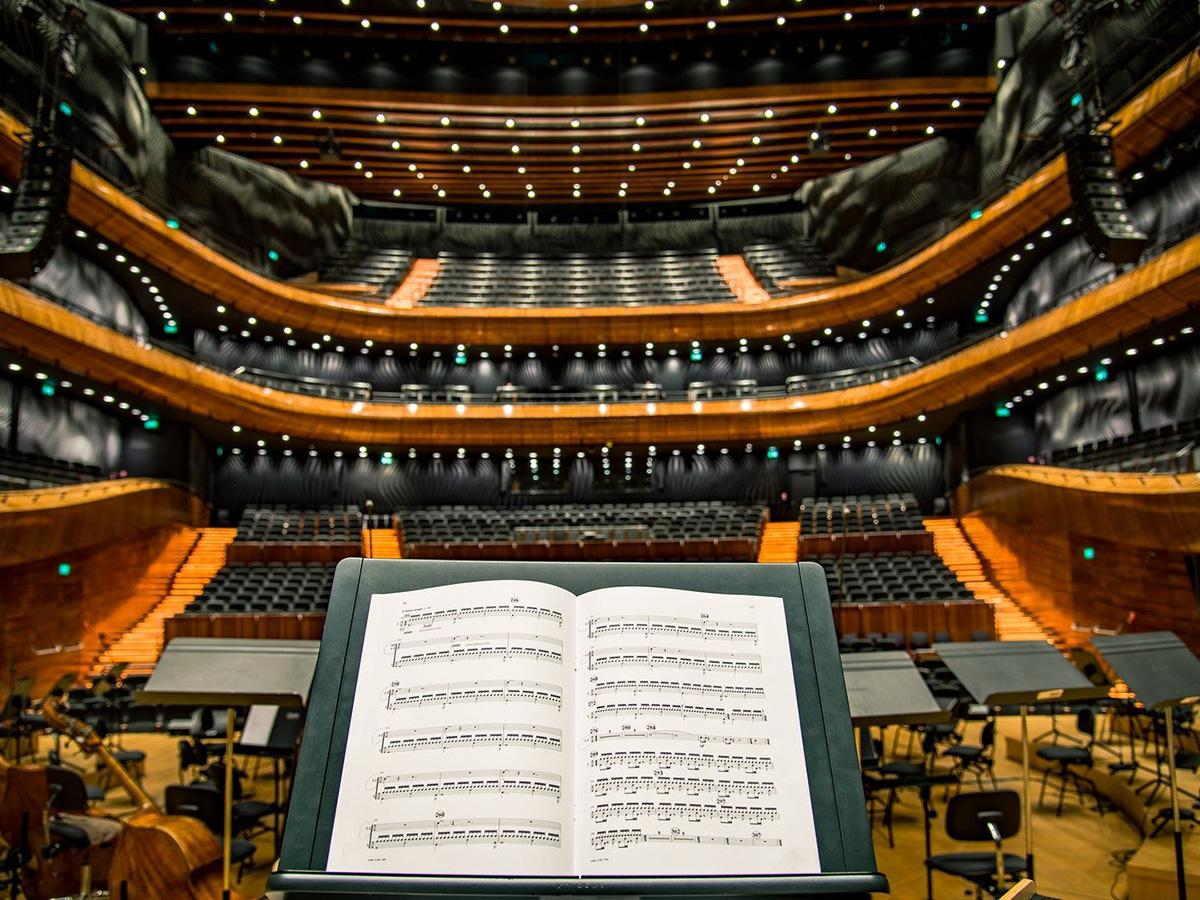 Концерт симфонического орекстра (kontsert-simfonicheskogo-orekstra) Музыка