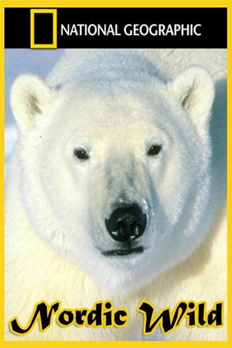 Дикие животные Севера (dikie-zhivotnye-severa) Документальный сериал