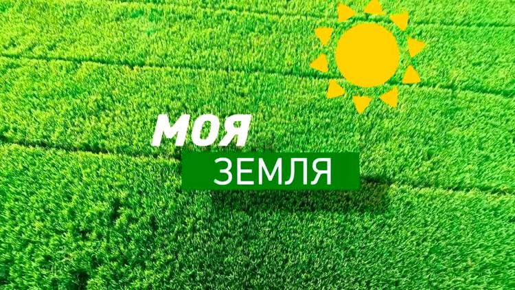 Постер Моя земля