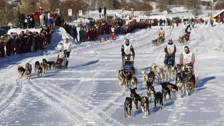 Постер Mushers, la grande odyssée blanche