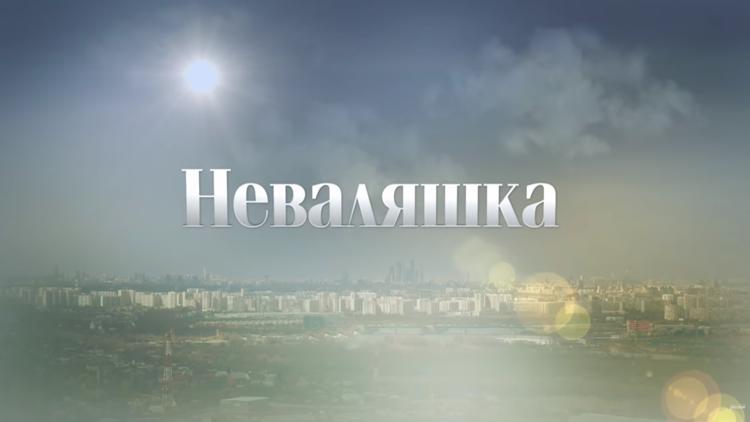 Постер Неваляшка