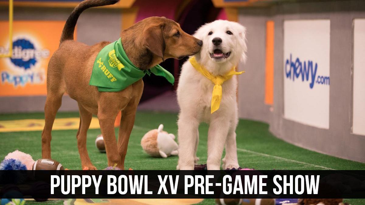Puppy Bowl XV Pre-Game Show (puppy-bowl-xv-pre-game-show) Досуг, хобби