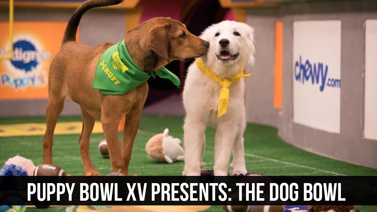 Puppy Bowl XV Presents: The Dog Bowl (puppy-bowl-xv-presents-the-dog-bowl) Досуг, хобби