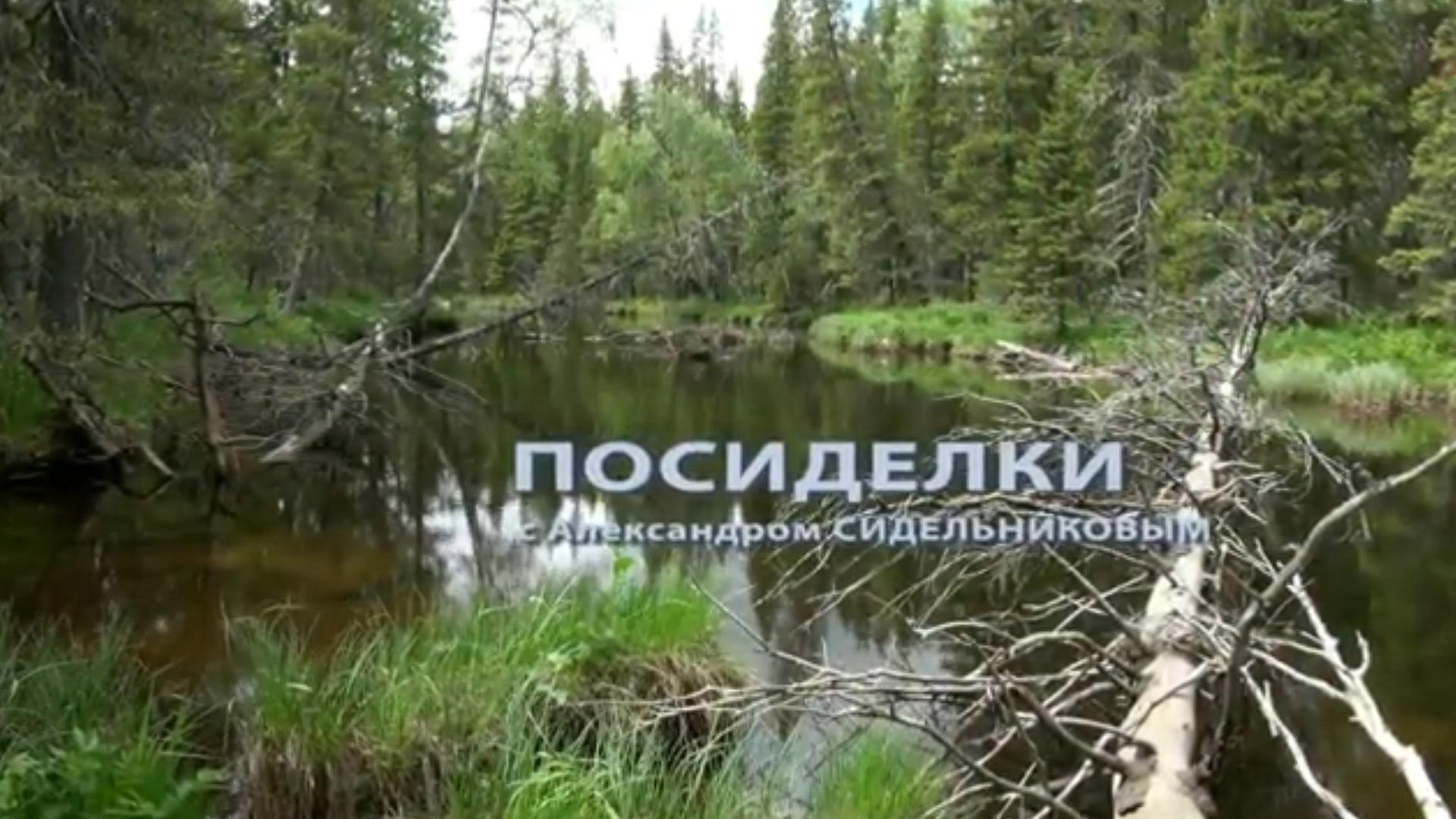 Посиделки с А. Сидельниковым (posidelki-s-a-sidelnikovym) Познавательное