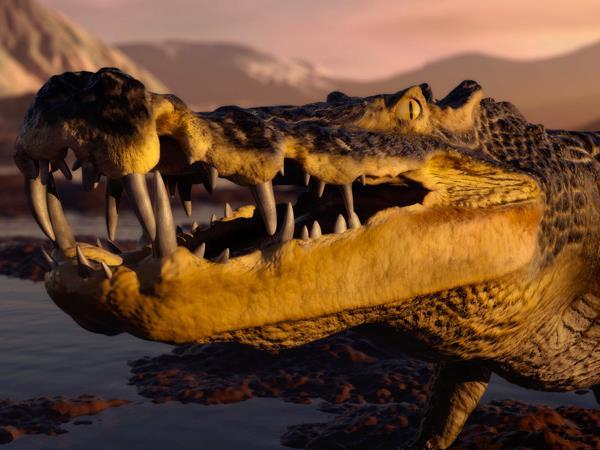 Когда крокодилы ели динозавров (kogda-krokodily-eli-dinozavrov) Документальный фильм