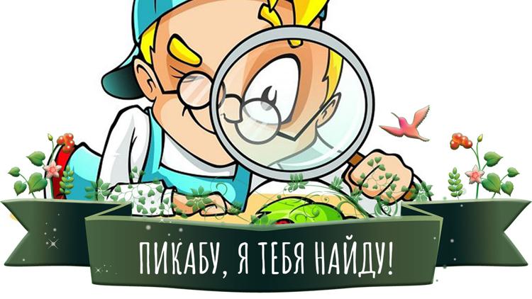 Постер Пикабу, я тебя найду!