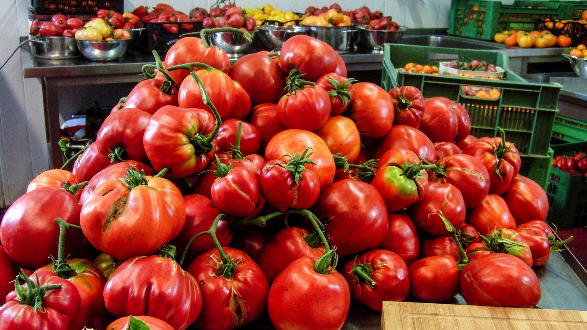Le triomphe de la tomate (le-triomphe-de-la-tomate) Документальный фильм