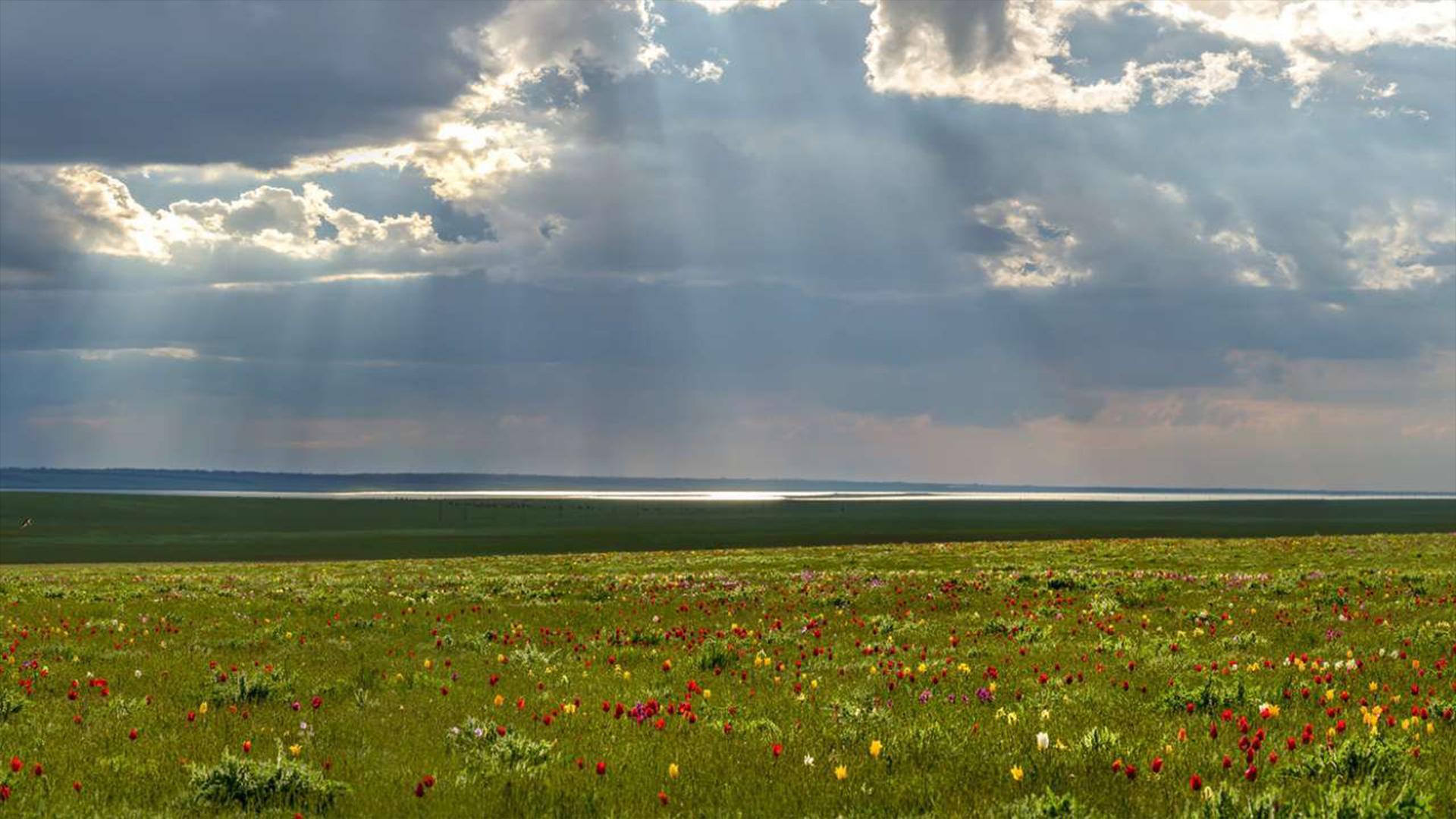 Степь — колыбель моя (step-kolybel-moja) Документальный фильм