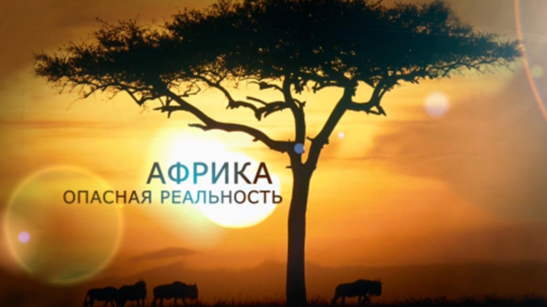 Африка. Опасная реальность (afrika-opasnaja-realnost) Документальный сериал