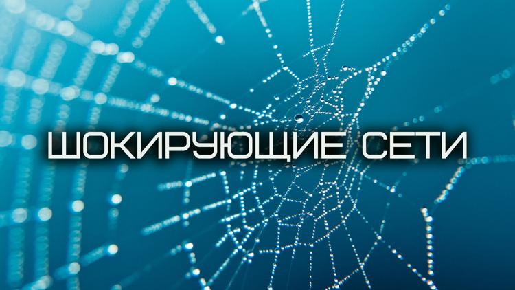 Постер Шокирующие сети