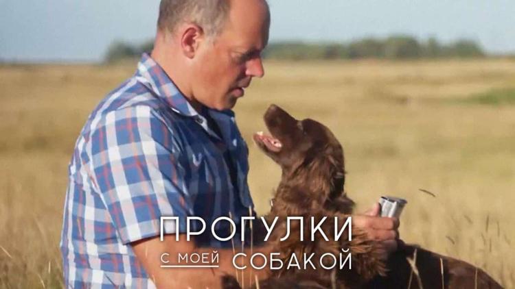 Постер Прогулки с моей собакой