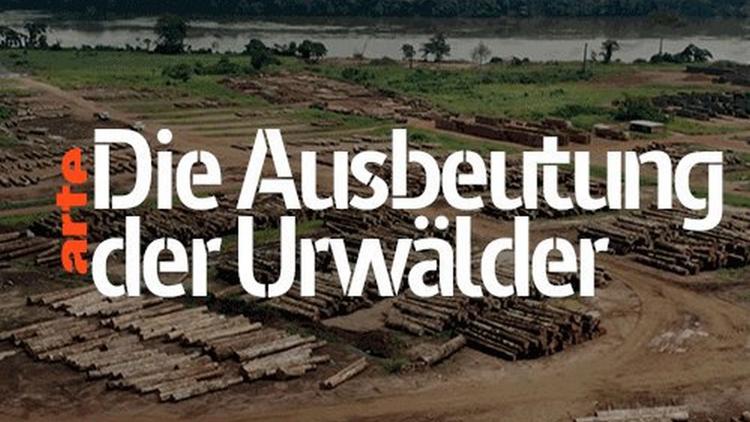 Постер Die Ausbeutung der Urwälder