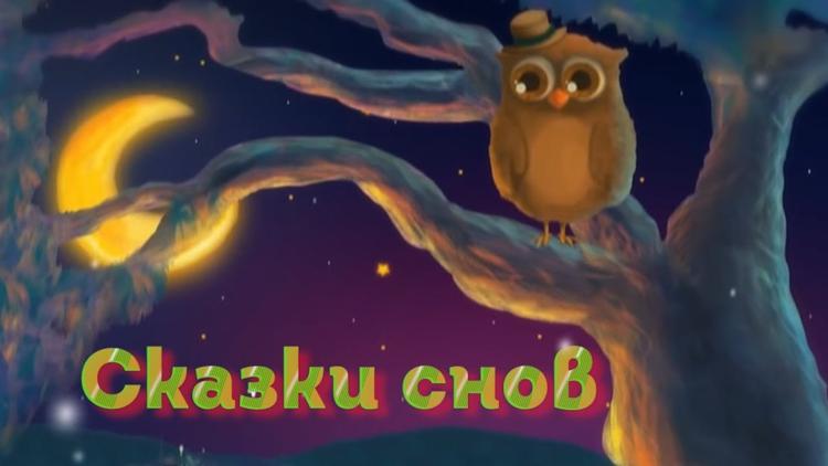 Постер Сказки снов