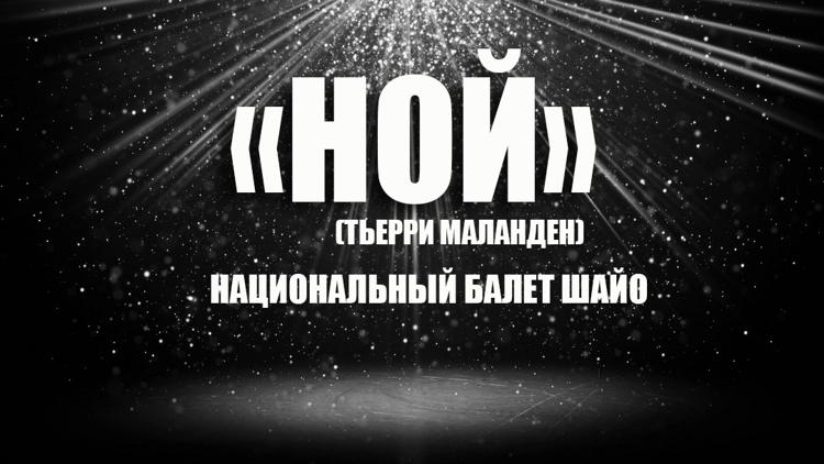 Постер «Ной» (Тьерри Маланден). Национальный балет Шайо