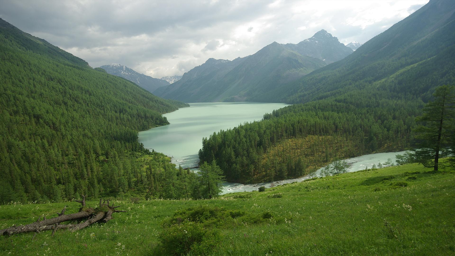 В лесах Сьерра-Морены (v-lesah-serra-moreny) Документальный фильм