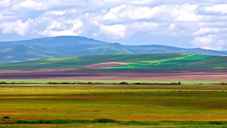 Постер Забайкалье - территория творчества