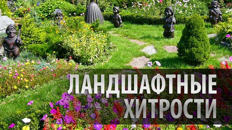 Постер Ландшафтные хитрости