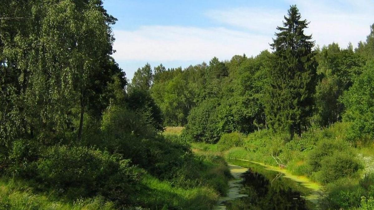 Земляк (zemljak) Документальный фильм