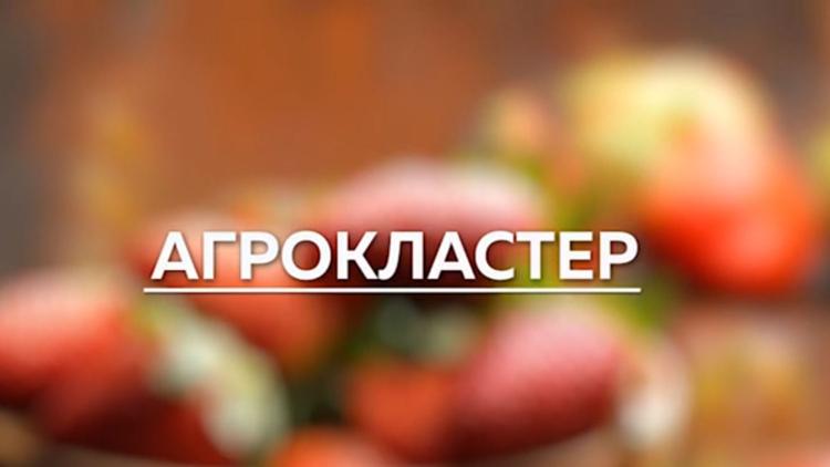 Постер Агрокластер