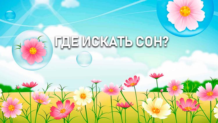 Постер Где искать сон?