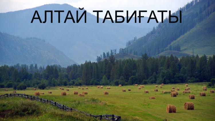 Постер Алтай табиғаты