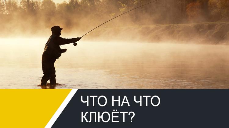 Постер Что на что клюёт?