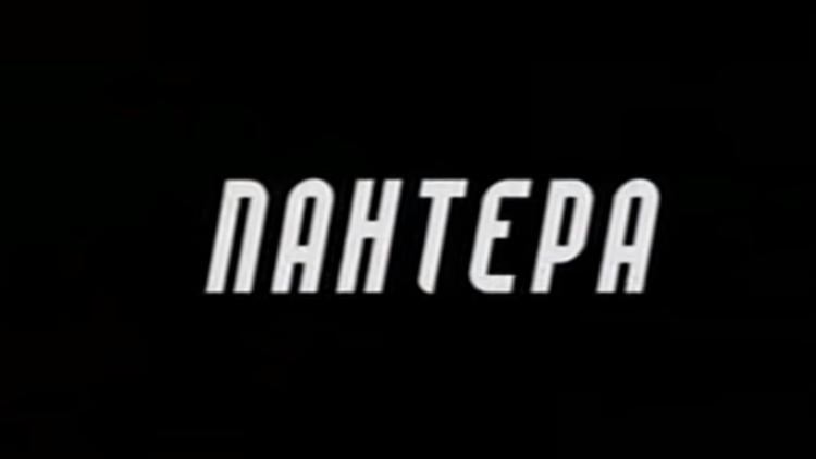 Постер Пантера