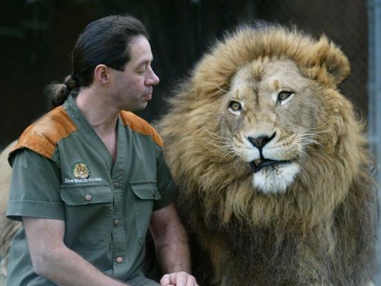 Человек и львы (chelovek-i-lvy) Документальный сериал