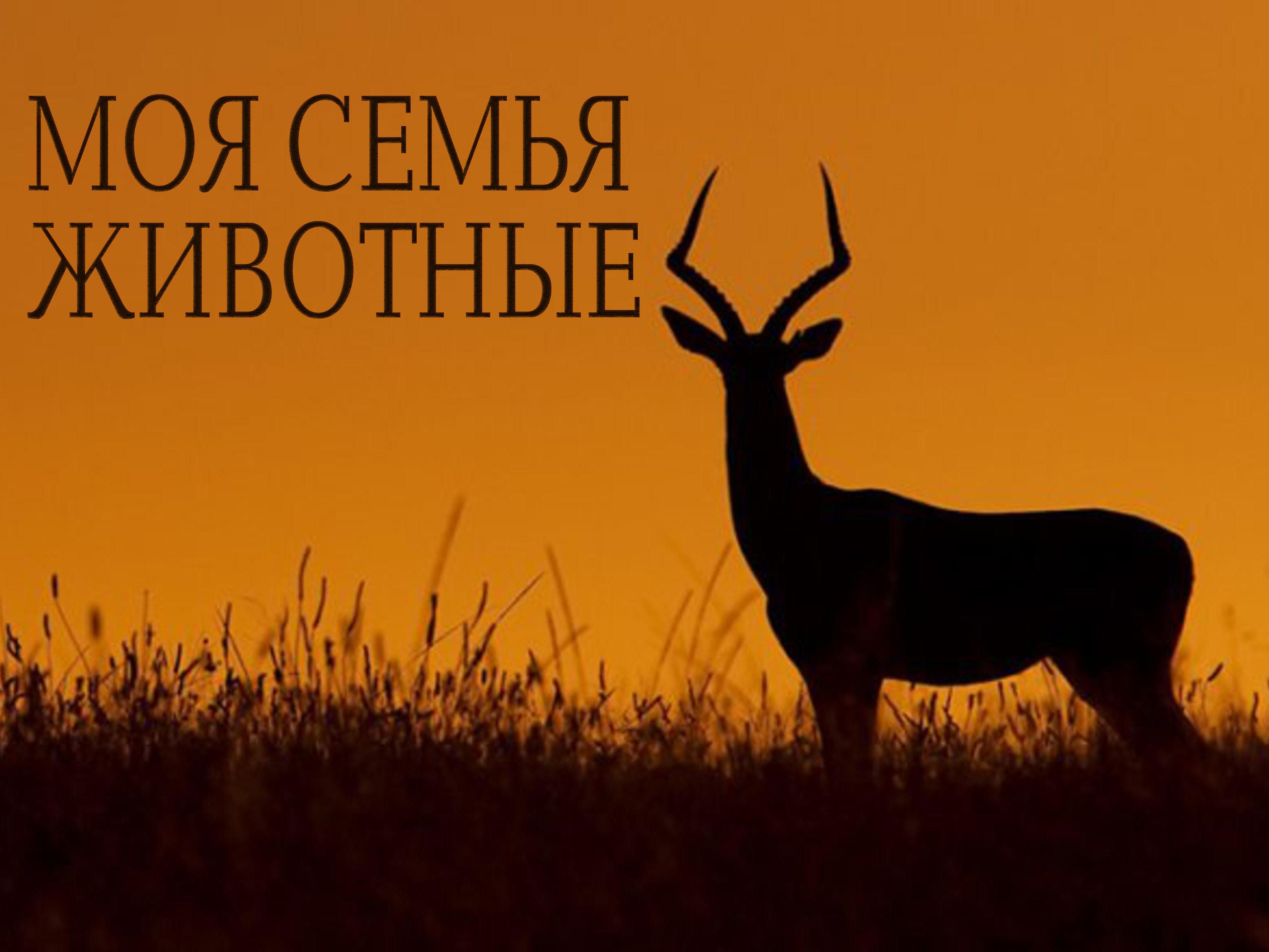 Моя семья-животные (moja-semja-zhivotnye) Документальный фильм