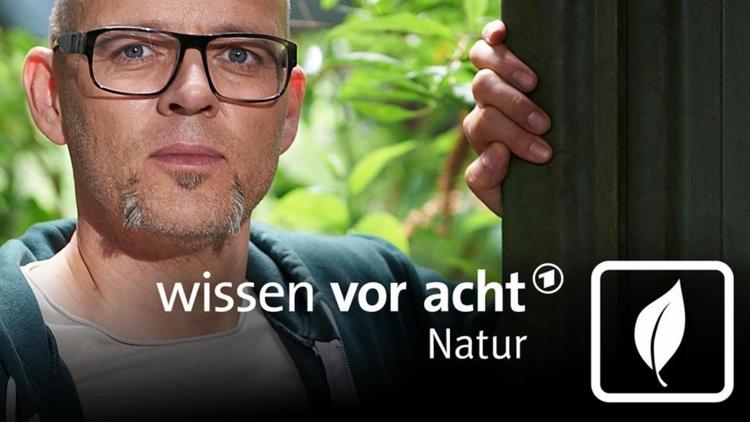 Постер Wissen vor acht – Natur