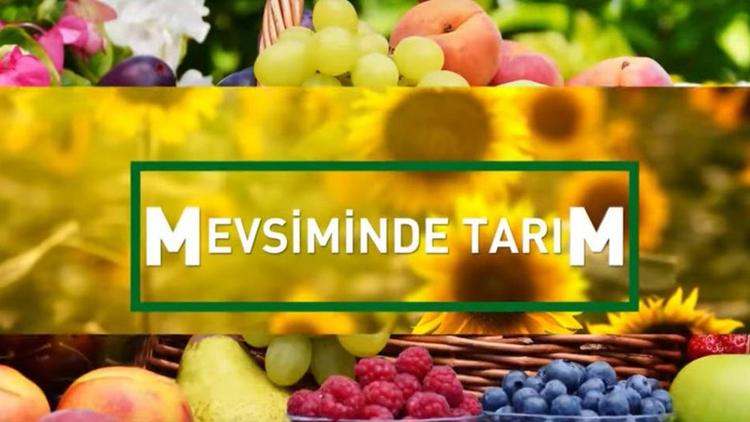 Постер Mevsiminde Tarım