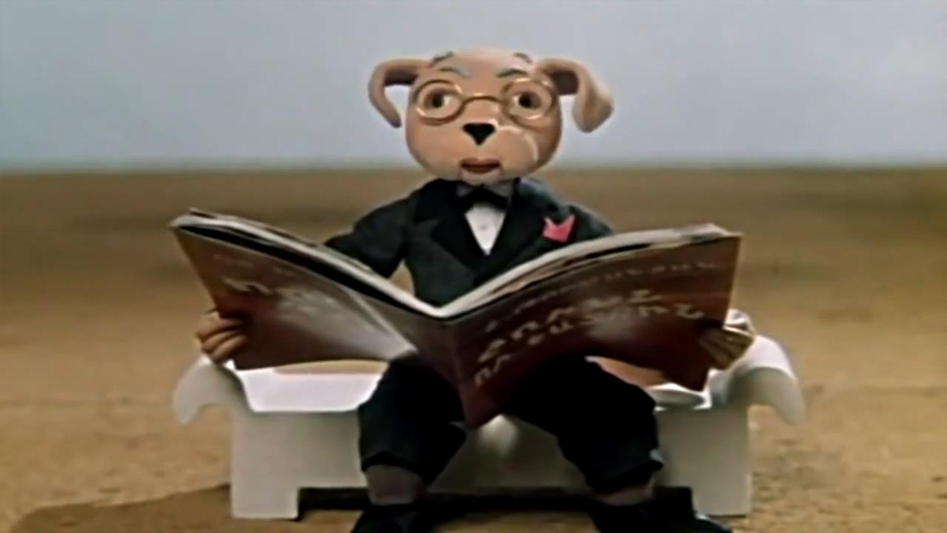 Շունն ու կատուն Мультфильм